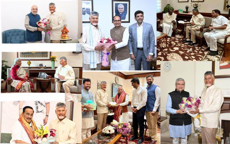 چندرابابونائیڈو کی دہلی میں مرکزی وزرا سے ملاقاتیں